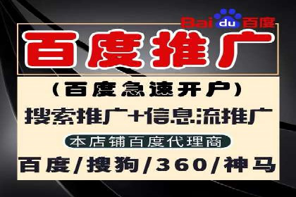 SEM推广公司成功案例：助力企业实现品牌多元化发展